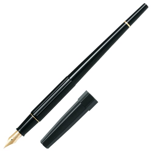 Stylo à plume noir extra fin Pilot P-DPP-1S-BEF haute précision