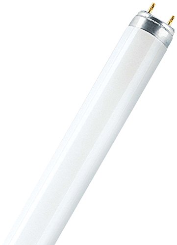 Preisvergleich Produktbild Osram Leuchtstoffröhren
