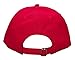 Bioworld Friday The 13th Mens' Camp Crystal Lake Adult Soft Hat with Adjustable Strap Red