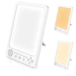 BORDEAG Lichttherapielamp, daglichtlamp, 10.000 lux, met 3 kleurtemperaturen, 5 helderheidsniveaus en 6 timer, voor kantoor en thuis