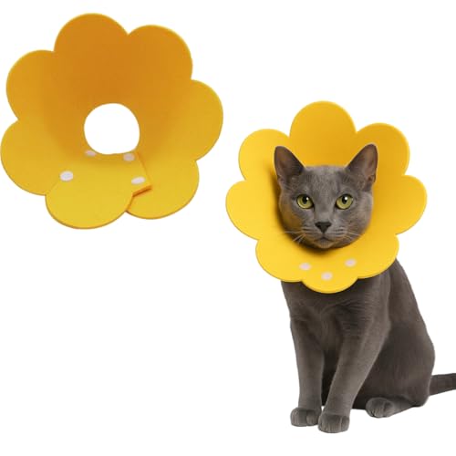 KEWUF Collari Protettivi per Gatto, Collare Protettivo Gatto Antileccamento, Collare di Recupero per Gatto, collare elisabettiano gatto, Collare a Cono per Gatti con Collo Regolabile, Anti-Morso - M