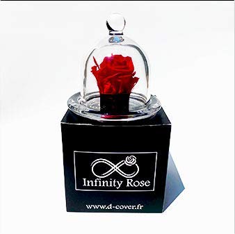 D-COVER - Rosa eterna rossa naturale sotto una