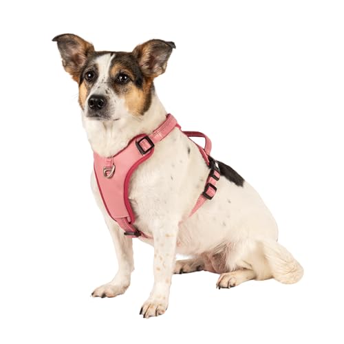Max & Molly Sport Hundegeschirr Sehr Grosse Hunde mit Gotcha! Smart ID Sicherheitsanhänger, Matrix 2.0 Rose/XL, Geschirr Hund Gepolstert & Reflektierend - Komfort für deinen treuen Begleiter