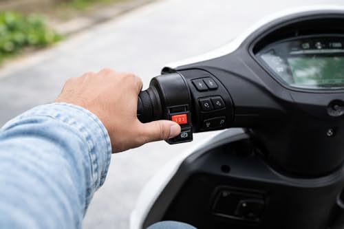 Image of Universal Electric Vehicle Throttle, 3-Speed Mode with Parking Button, Compatible with 24V-72V E-Scooter, E-Bike, E-Rickshaw