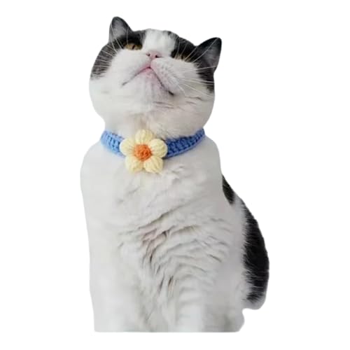 \Ȃ킢j҂݂̎qqL݃ybgjbgXJ[tlN^Cybgp[eB[api,a