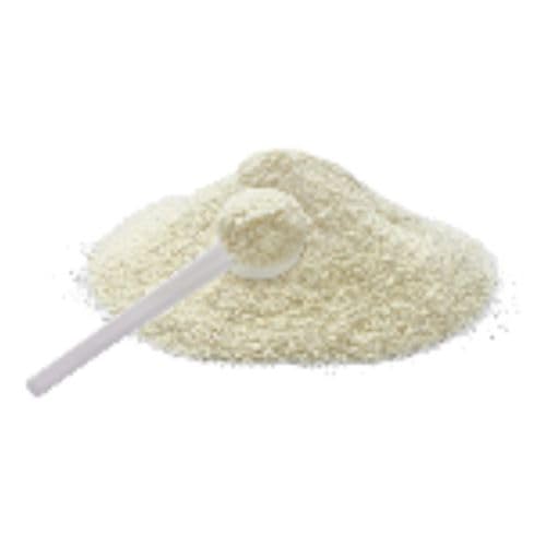 Bongiovanni Bontà Naturali Leche de coco deshidratada 15kg