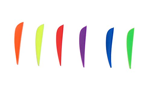 Capitano Arrow Vanes for Archery Arrows | Assorted Colors, Archery Wings | Hunting, Fishing, Archery, and Target Practice (Pack of 6)