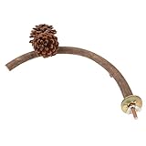 Toyvian Perchoir pour Perroquet Support pour Perroquet Jouets Perchoir pour Oiseaux en Boi...