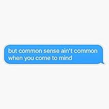 Common Sense by Joshua Bassett Text Sticker Vinyl Bumper Sticker 6 Mil Thick - Size 5"