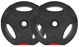 Fitvids Vinyl Standard 1-Inch Weight Plates for Strength Training and Weightlifting, 20-Pound
