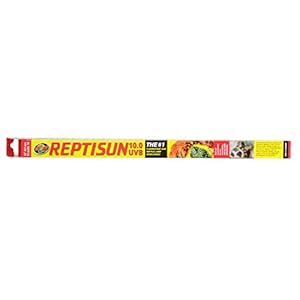 Zoo Med ReptiSun 10.0 UVB Terrarium Leuchtstoffröhre