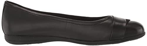 Image of Trotters Danni