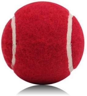 ARYANSH Shoppe Tennis Ball Light Weight, Made of Rubber for Cricket Training, Tennis Training, Cricket Rubber Tennis Ball Cricket Tennis Ball Red (Pack of (5)
