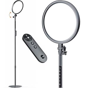 Light Therapy Lamp, 13,000 Lux Sunlight Lamp with Touch&Remote Control, Floor Lamp with 4 Color Temperatures &5 Brightness Levels,Full Spectrum Light with 4 Timers for Reading/Office/Home