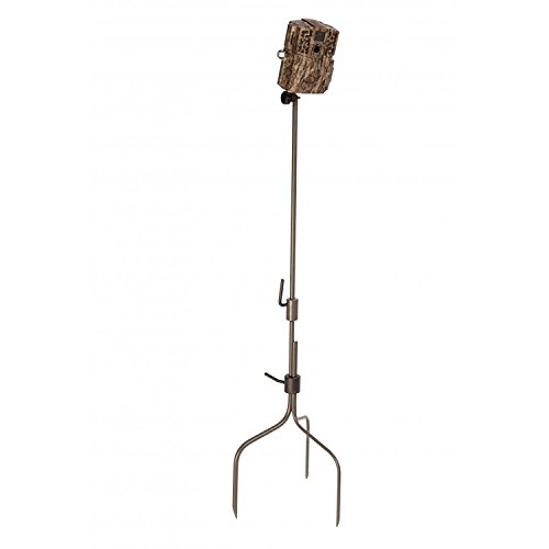 Best Game Camera Stands