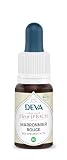 Marronnier rouge (red chestnut- n°25) bio (15 ml) - Deva - Les 38 Elixirs de Bach