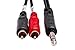 Hosa TRS-202 1/4 Inch TRS to Dual RCA Insert Cable, 6.6 Feet