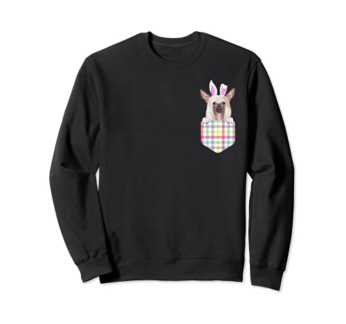Easter Plaid Chinese Crested Bunny Dog In Pocket Sweatshirt, Black