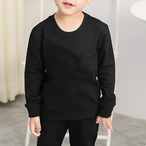 Toddler Kids Baby Boy Girl Long Sleeve Sweatshirt Casual Shirt Thin Pullover Infant Crewneck Sport Tops2