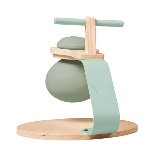 TP Toys Active Tots Balançoire en Bois pour...