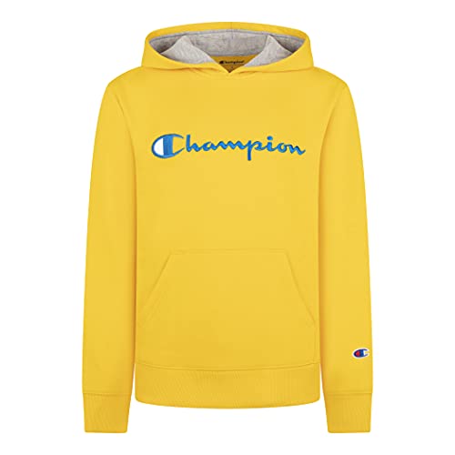 Champion Boys Two Piece Classic Core Colors Hooded Sweatshirt And Fleece Jogger Sweatpants Sets (18 Months, Team Gold) #TOP1