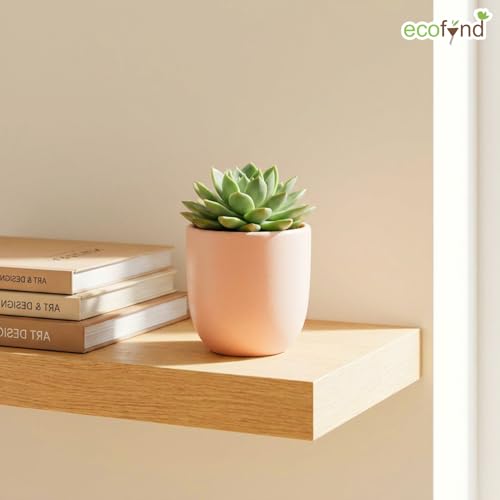 Image of ecofynd 5 Inch Ceramic Plant Pots with Drainage Hole, Modern Decorative Clay Flower Pots for Indoor Plants, Home Garden Decor for Living Room, Bedroom & Interior Spaces (CPOT041-PNK)