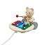Musical Bear