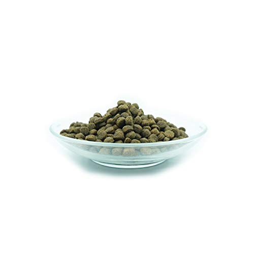 I Love My cat Hochwertiges getreidefreies Trockenfutter mit frischem Insektenprotein und hohem Omega-3-Gehalt für Katzen - Ideal für eine gesunde Ernährung - 1,2 kg