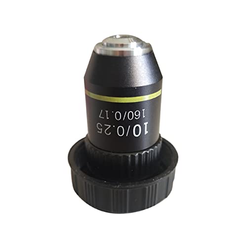 �������ώ@ 10�{���������������Ε������Y