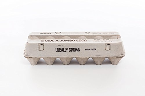 guardian Generic A Jumbo Egg CARTONS by Falcon PACKAGING-125pcs