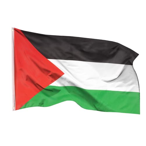 Aricona Drapeau Palestine 90x150cm – palestinien - résistant aux intempéries, avec œillets en laiton, 100% polyester, coutures doubles robustes et couleurs éclatantes – pour les passionnés de drapeaux