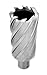 Accusize Industrial Tools 1-3/8'' Diameter by 2'' Depth Hss Annular Cutter Plus 1 Pilot Pin, 3/4'' Weldon Shank, 2081-2027pin