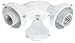 Hunter Fan Company Hunter Fan Company 99135 Three Light Fitter- White