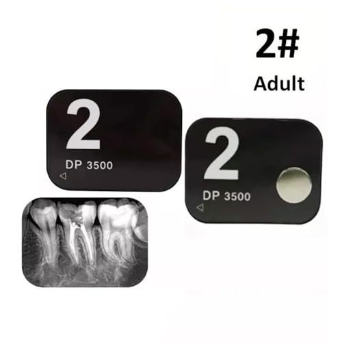 View 4