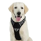No Pull Dog Harness with Reflective Safety Strips, Adjustable Soft Padded, 3 Buckles, 2 Leash Clips, Oxford No Choke Pet Vest with Easy Control Handle for Large Dogs, Black, L