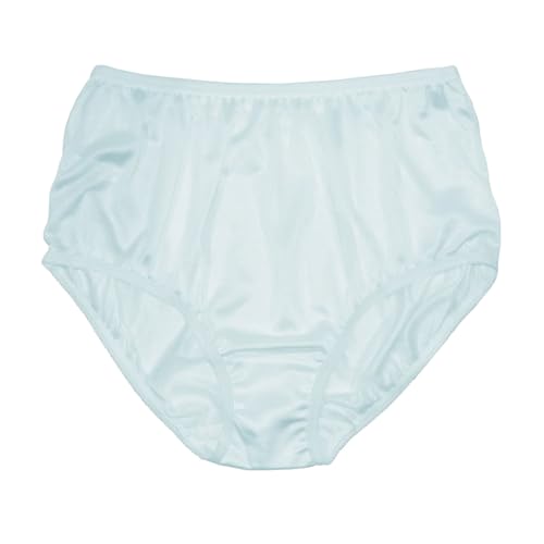 Image of Teri Women's 331 Plain Jane Classic Nylon Silky-Smooth Lightweight Breathable Full Coverage Brief Panty - 4 Pack