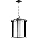 Quorum 7412-10-69 Garrett Outdoor Pendant, 1-Light 100 Total Watts, Noir