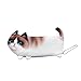 Munchkin Federmäppchen Katze Mäppchen 3D-Druck Stiftemappe 4 verschiedenen Type Katze Reißverschluss Tasche für jungen & mädchen (Weiß)