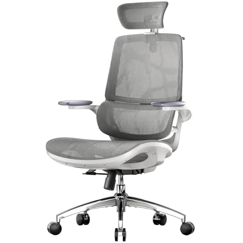SIHOO M59AS Ergonomic Office Chair, Desk Chair with 3D Flip-up Armrests, Computer Chair with Dual Back Design and Adaptive Dynamic Lumbar Support Grey