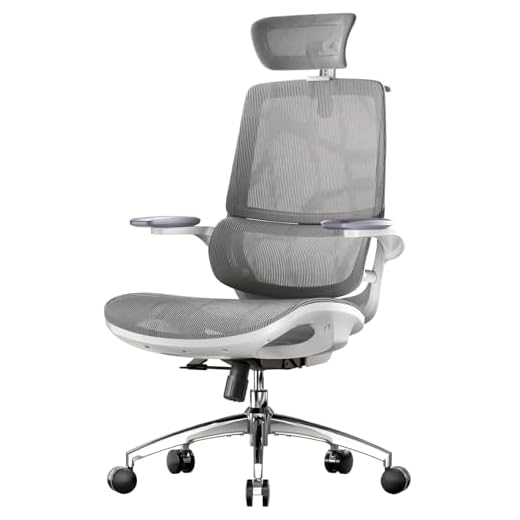 SIHOO M59AS Ergonomic Office Chair, Desk Chair with 3D Flip-up Armrests, Computer Chair with Dual Back Design and Adaptive Dynamic Lumbar Support