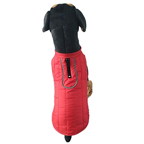 RC GearPro Giacca per Cane, Cappotto Reversibile