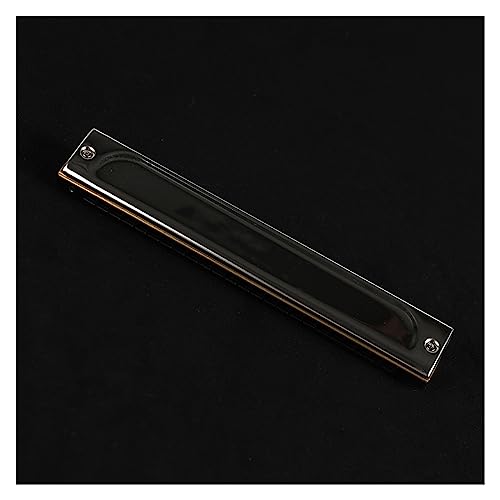 PacuM Harmonica par Instrument Key Harmonica Harmonica 24 Hole C Key Performance Harmonica Single Hole Single Tone Harmonica - Les Beatles, Paul McCartney, John Lennon, RIngo Starr, George Harrison PacuM Harmonica par Instrument Key Harmonica Harmonica 24 Hole C Key Performance Harmonica Single Hole Single Tone Harmonica – Image 4