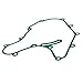 Crankcase Cover Gasket Compatible with Automotive Motorcycle Parts NS200 BS6 RS200 BS4 RS200 BS6 for Part Number JG541211