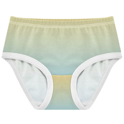 Toddlers Underwear Floral 2t Cotton Panties Little Girl Animal Kids Briefs Undies Yellow Light Sky Blue Gradient