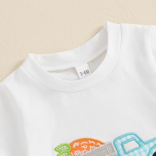 Image of Toddler Baby Boy Easter Rabbit Outfit Short Sleeve Bunny Carrot Smocked T-shirt Elastic Waist Shorts Summer Clothes