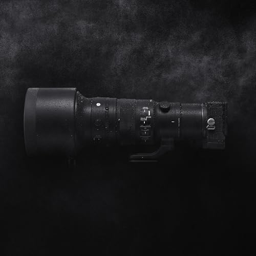 Image of 500mm F5.6 DGDN OS for Sony E Mount | 500mm f /5.6 DG DN Sports lens with HLA autofocus and OS2 stabilization for wildlife, aviation and sports