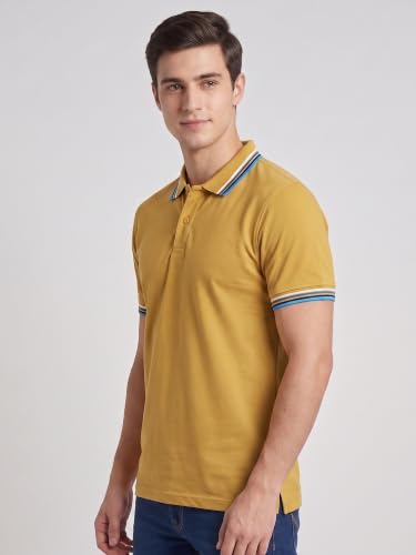 Image of XENOVAURBAN Polo t Shirt for Man | Striped Pattern Mens Cotton Polo Neck T-Shirt with Collar | Regular fit | Breathable and Soft - Polo-Striped-P