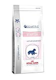 ROYAL CANIN VCN - Pediatric Starter Medium Dog - 12 kg