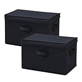 山善(YAMAZEN) 収納ボックス ふた付き 頑丈 取っ手付き カラーボックス対応 【2個組】衣類 小物 収納 折りたたみ可能 幅38×奥行25×高さ25cm 完成品 ブラック YTCF-2PF(BK)