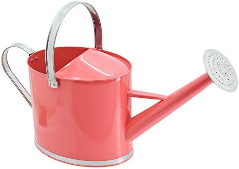 <h3>Coral Watering Can With Bold Color Contrast</h3>